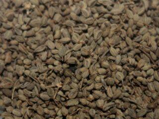 Parsley seeds: benefits and harms, shelf life, how to distinguish them from carrot seeds, application