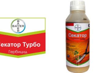 المبيدات الحشرية Secateur Turbo: تعليمات للاستخدام