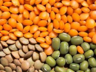 ¿Cuál es la diferencia entre lentejas y guisantes?