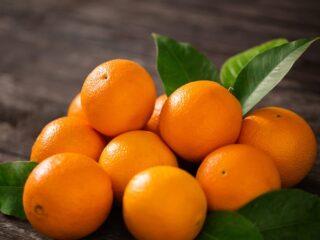 When can you give an orange to a child under one year old?