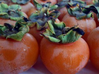 Persimmon for pankreatitt og kolecystitt: er det mulig eller ikke?