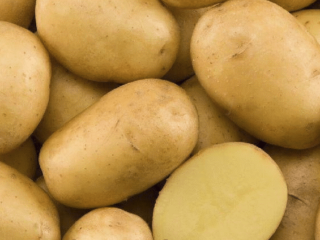 Madeira potato variety: characteristics, photos, reviews