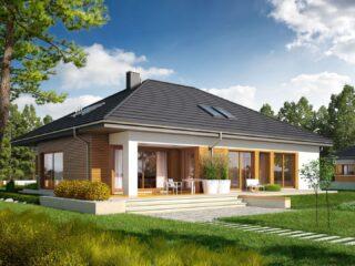 Huisproject: veel voorkomende variëteiten, aanbevelingen voor selectie