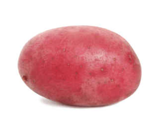 Quelles pommes de terre planter dans la région de Léningrad