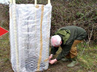 When to remove cover from apple trees in spring