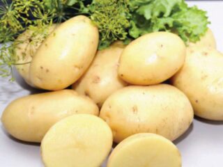 Potato variety Nandina: characteristics, reviews, photos