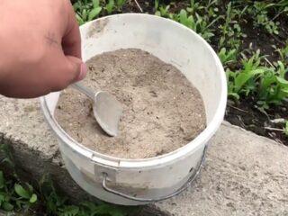 Adakah currant suka abu?