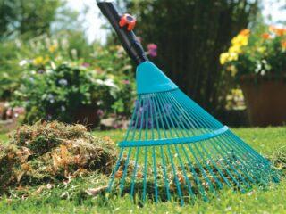 How to do spring cleaning in your garden