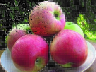 Apple tree variety Sun: photo and description, reviews