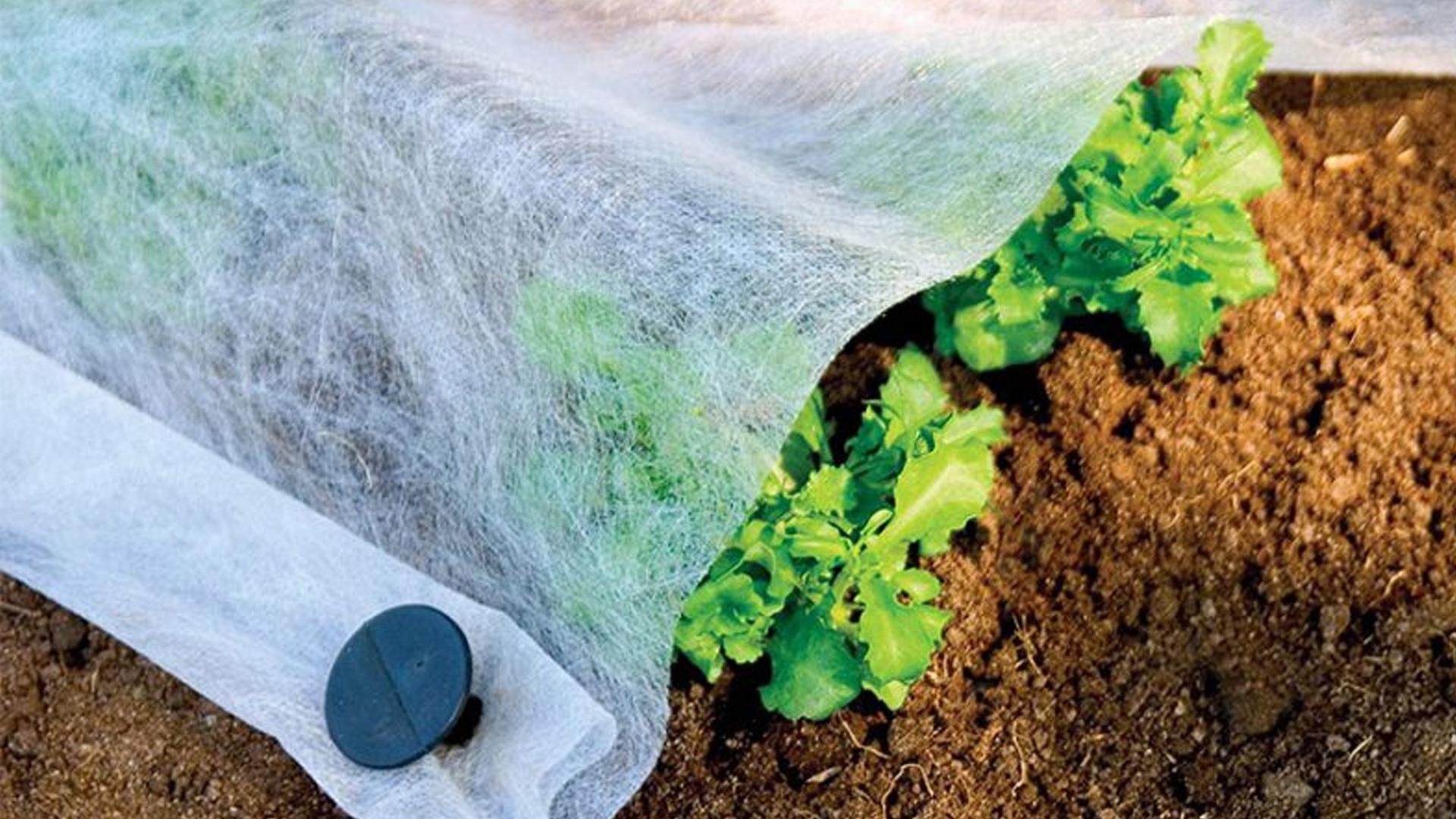 Υλικό κάλυψης Spunbond: χαρακτηριστικά και πλεονεκτήματα χρήσης