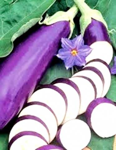 Aubergine Banan