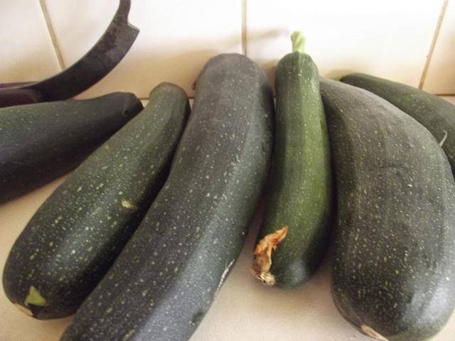 Zucchini Diamant F1