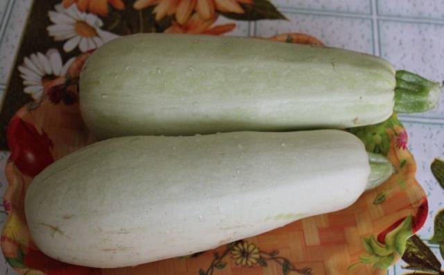 Zucchini-Berg