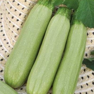 Courgettes Casanova