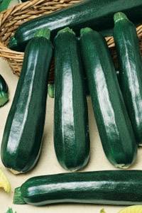 Zucchini Black gwapo