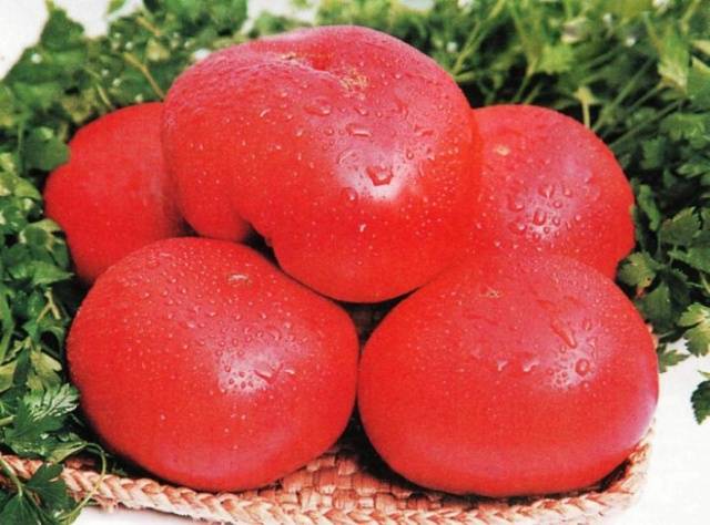 Tomaatti Korneevsky punainen