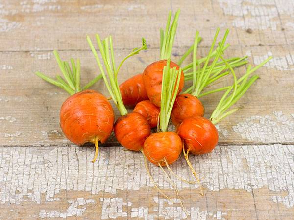 Varieties of round carrots