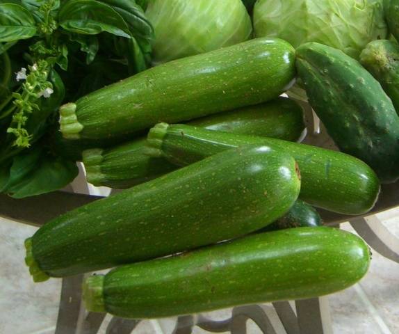 courgette