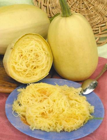 Variété de courge spaghetti