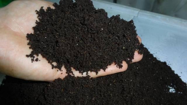 Vermicompost