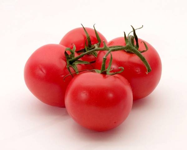 Carpal tomaatit avoimeen maahan 